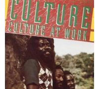 Culture at Work [CASSETTE]