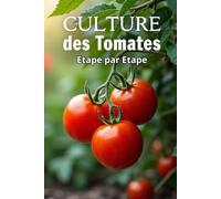 Culture des Tomates Etape par Etape: De la semence à la récolte