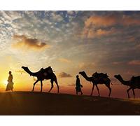 Cultures of the Ancient Near East