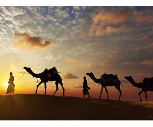 Cultures of the Ancient Near East