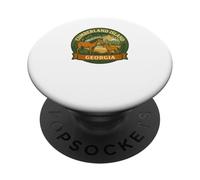 Cumberland Island Georgia Wild Horse Mare and Foal Badge PopSockets Adhesive PopGrip