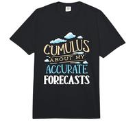 Cumulus About My Forecasts Weather Forecaster Meteorologist Comfort Colors Adult Heavyweight T-Shirt