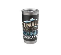 Cumulus About My Forecasts Weather Forecaster Meteorologist Stainless Steel Insulated Tumbler