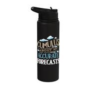 Cumulus About My Forecasts Weather Forecaster Meteorologist Stainless Steel Insulated Water Bottle