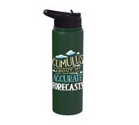 Cumulus About My Forecasts Weather Forecaster Meteorologist Stainless Steel Insulated Water Bottle