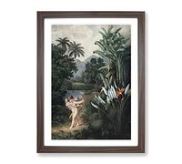 Cupid By The Flowers By Robert John Thornton Vintage Framed Print | A3 Walnut Framed Wall Art | Ready to Hang | Classic Floral Picture | Living Room Bedroom Lounge Office