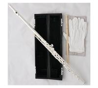 Cupronickel Body Silver Plated C Tone Flute B Foot 17 Open Hole Split E Italian Pads Flute for Beginner