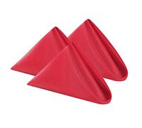 Cupuamon Cloth Napkins 20x20 inch Washable Polyester Dinner Kitchen Napkins Soft Table Napkins for Wedding Party Dining Banquet (Red, 12PCS)