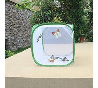 Cuque Butterfly Abitat Folding Insect Screen Cage Insect and Butterfly Habitat Cage for Incubator Cultivating Insect (30 x 30 x 30 cm)