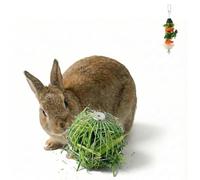 CUQUICC 2-Piece Rabbit Educationa Toy Set: Stainless Steel Foraging Toy, Hanging Hay Ball + Vegetable Slow Feeder Holder Suitable for Rabbit, Guinea Pig, Rat, Chinchillas and Other Small Animal
