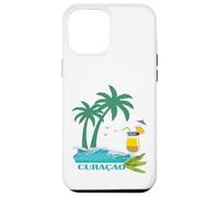 Curacao Palm Trees Caribbean ABC Islands Travel Souvenir Case for iPhone 12 Pro Max
