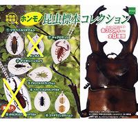 Curiosity Club Real Mono Insect Specimen Collection, 6 Types (No Saws, Rattles or Sickfish)