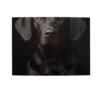 Curious Adopted Black Labrador Adults 500 Pieces Puzzles-Jigsaw Wooden Puzzle for Adults Elderly