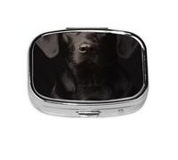 Curious Adopted Black Labrador,Meta Pill Box 2 Compartment Medicine Case,Portable Organizer