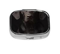 Curious Adopted Black Labrador,Meta Pill Box 2 Compartment Medicine Case,Portable Organizer,Rectangle Meta Portable Organizer Pill Box 1559 Compartment Medicine Case