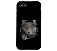 Curious American Curl Cat Peeking Through Case for iPhone SE (2020) / 7/8