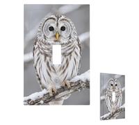 Curious Barred Owl Closeup Wall Plate Cover Modern Decorative 1 Gang Light Switch Cover Unbreakable Receptacle Outlet Covers For Living Room Bedroom Home Decor Single Toggle