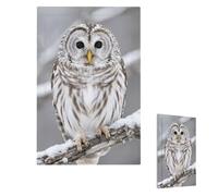 Curious Barred Owl Closeup Wall Plate Cover Modern Decorative 1 Gang Light Switch Cover Unbreakable Receptacle Outlet Covers For Living Room Bedroom Home Decor Single Blank