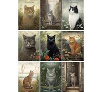 Curious Cats Birthday Cards - Pack of 9 Cute Cat Birthday Cards with White Envelopes | Small A6 Greeting Card Set | Assorted Funny & Adorable Cat Designs for Cat Lovers, Friends & Family