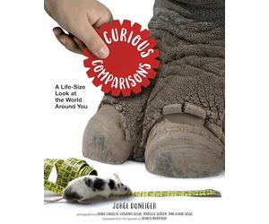 Curious Comparisons: A Life-Size Look at the World Around You