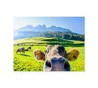 Curious cow，Jigsaw Puzzle 1000 Piece Game Artwork Travel Souvenir（38x26cm）-A6
