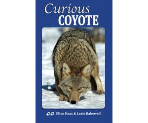 Curious Coyote: Nature Break Prompts for Bringing Nature into Your Everyday Life