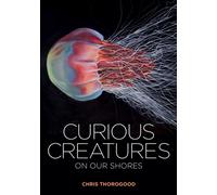 Curious Creatures on our Shores