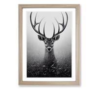 Curious Deer Framed Print | A2 Oak Framed Wall Art | Ready to Hang | Modern Animal Picture | Living Room Bedroom Lounge Office