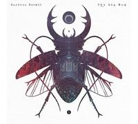 Curious Detail - The Big Bug