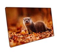 Curious Eurasian Otter Wandering Through The Orange Autumnal Leaves Cute Funny Animal Wall Art Print On Canvas Picture For Home Office Decor 61x41cm (24x16In)