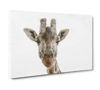 Curious Giraffe Canvas Print | Gallery Wrapped 30mm Frame Wall Art | 30x20 inches | Ready to Hang | Modern Animals Picture | Living Room Bedroom Lounge Office