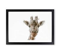 Curious Giraffe in Abstract Framed Print | A2 Black Framed Wall Art | Ready to Hang | Abstract Animal Picture | Living Room Bedroom Lounge Office