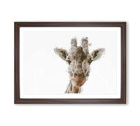Curious Giraffe in Abstract Framed Print | A2 Walnut Framed Wall Art | Ready to Hang | Abstract Animal Picture | Living Room Bedroom Lounge Office