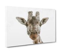 Curious Giraffe Painting Modern Art Canvas Wall Art Print Ready to Hang, Framed Picture for Living Room Bedroom Home Office Décor, 20x14 Inch (50x35 cm)