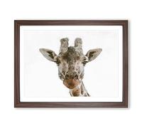 Curious Giraffe Painting Modern Art Framed Print | A2 Walnut Framed Wall Art | Ready to Hang | Modern Animal Picture | Living Room Bedroom Lounge Office