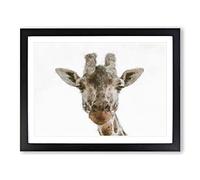 Curious Giraffe Painting Modern Art Framed Wall Art Print, Ready to Hang Picture for Living Room Bedroom Home Office Décor, Black A3 (46 x 34 cm)