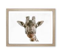 Curious Giraffe Painting Modern Art Framed Wall Art Print, Ready to Hang Picture for Living Room Bedroom Home Office Décor, Oak A4 (34 x 25 cm)