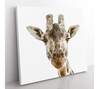Curious Giraffe Painting Modern Canvas Wall Art Print Ready to Hang, Framed Picture for Living Room Bedroom Home Office Décor, 50x50 cm (20x20 Inch)
