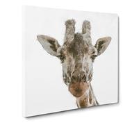 Curious Giraffe Painting Modern Canvas Wall Art Print Ready to Hang, Framed Picture for Living Room Bedroom Home Office Décor, 20x20 Inch (50x50 cm)