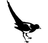 'Curious Magpie' Rubber Stamp - Unmounted Design for Crafting & Scrapbooking, A8 (RS00023767)
