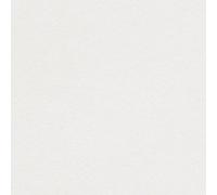 Curious Metallic, Wove, Ice Silver, 120g, 720x1020mm, B1+, Pack of 25 Sheets