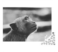 Curious Monkey Portrait 1000-Piece Puzzle for Adults, 38x26cm/1000pcs, White Pieces for Organised Sorting; Easy to Revisit Throughout The Week