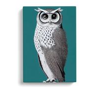 Curious Owl Canvas Wall Art Print 30x20 Inch