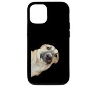 Curious Pup The Irresistible Head Tilt Case for iPhone 12/12 Pro