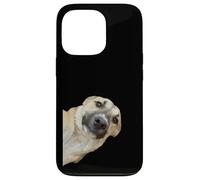 Curious Pup The Irresistible Head Tilt Case for iPhone 13 Pro