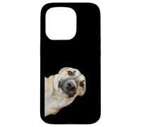 Curious Pup The Irresistible Head Tilt Case for iPhone 15 Pro