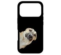 Curious Pup The Irresistible Head Tilt Case for iPhone 17 Pro