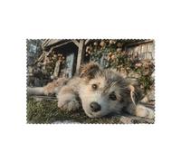 Curious Puppy 12in *18 In Durable Placemats Set Of Six For Dining Table Heat Insulation Anti-Slip Wear-Resistant