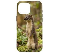 Curious Stoat Forest Wildlife Minimal Nature Scene Design Case for iPhone 16 Pro Max