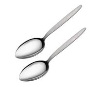 CURISEW 2-Pack Silver Stainless Steel 2 Tbsp Chef Spoon, 9 inch Big Spoon, Sauce Spoon Chef Kunz Spoon, Basting Spoon, Quenelle Spoon, Plating Spoons, Serving Spoons Stainless Steel, Cooking Spoon
